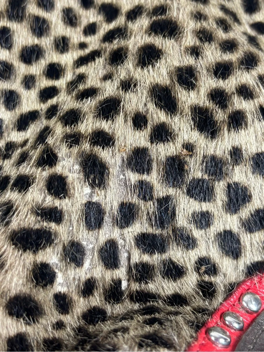 Retired Authentic Brighton “Luxury – The Art of Deco” Large Satchel Leopard Hair